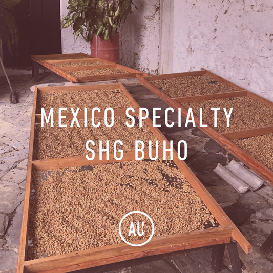 Mexico Specialty SHG Buho 30kg