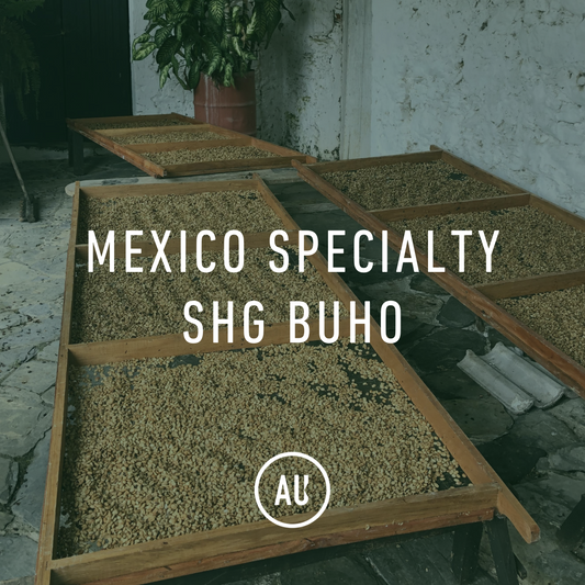 Mexico Specialty SHG Buho 30kg