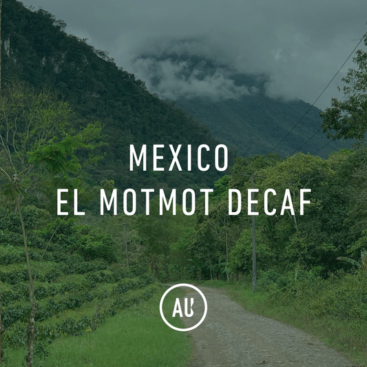 Mexico El Mot Mot Decaf 30kg