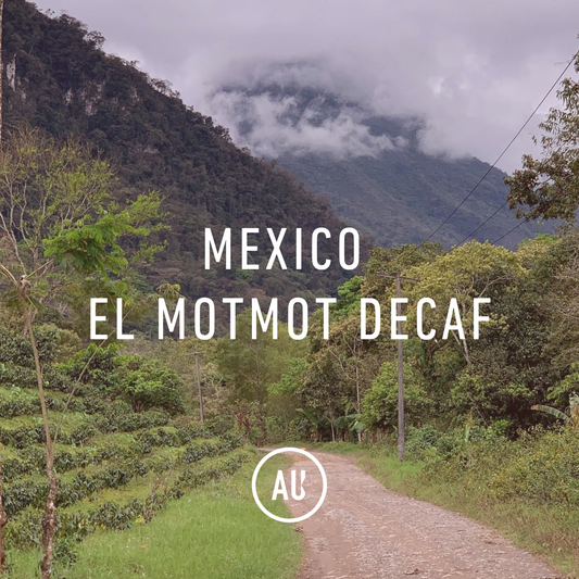 Mexico El Mot Mot Decaf 30kg