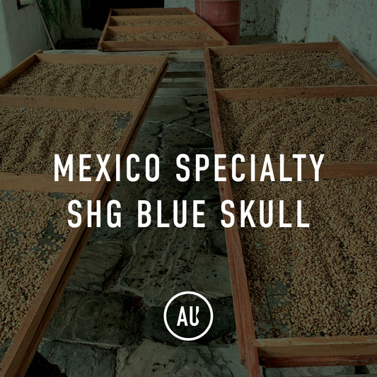 Mexico Specialty SHG Blue Skull
