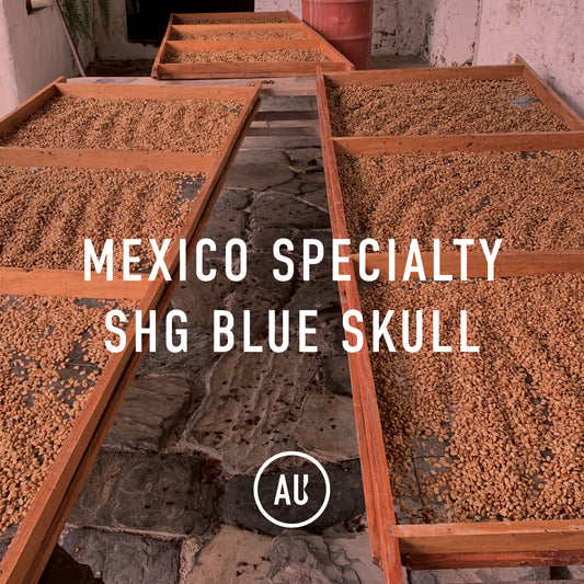 Mexico Specialty SHG Blue Skull