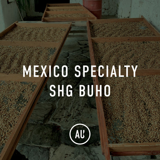Mexico Specialty SHG Buho 30kg