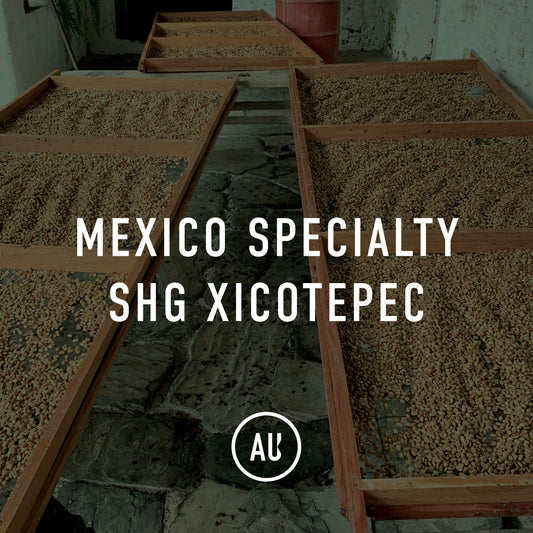 Mexico Specialty SHG Xicotepec 30kg