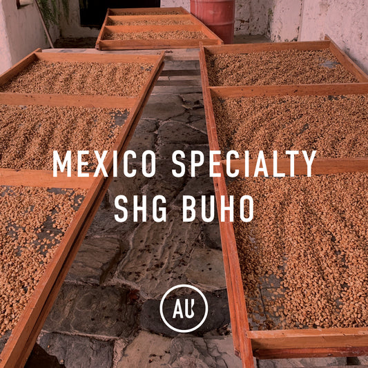Mexico Specialty SHG Buho 30kg