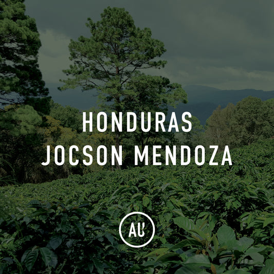 Honduras Jocsan Mendoza Anaerobic Honey 35kg