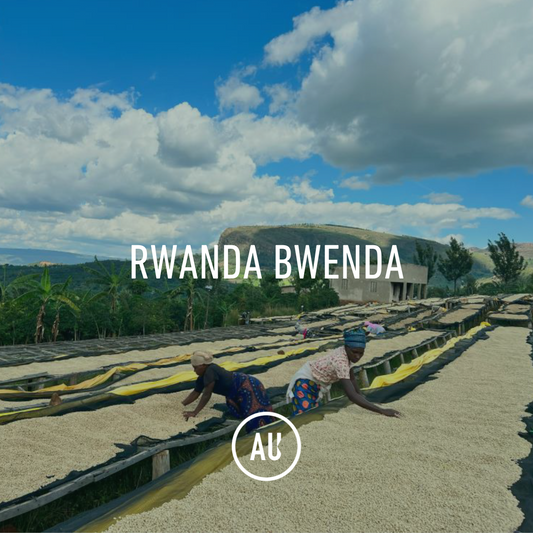 Rwanda Bwenda Washed 30KG GP