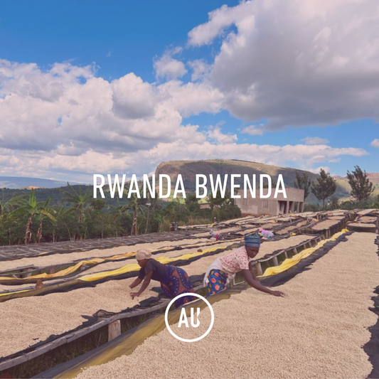 Rwanda Bwenda Washed 30KG GP