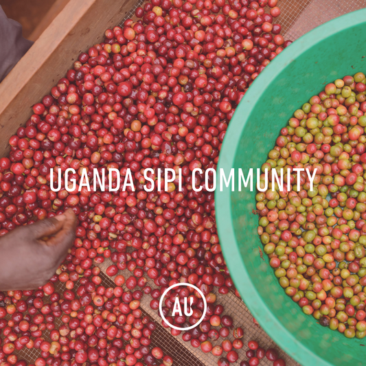 Uganda Sipi Community, A+, Washed, 60kg, GP