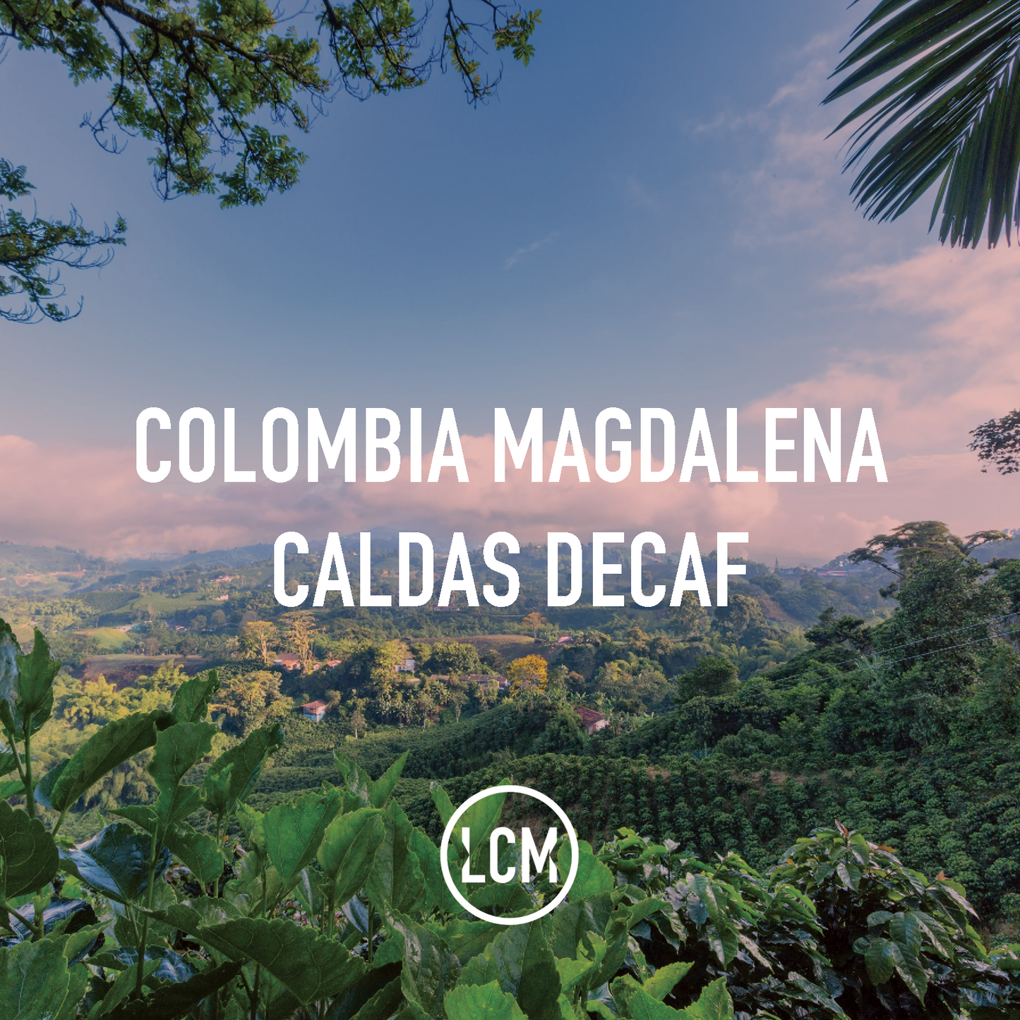 Colombia Magdalena Caldas Decaf 35kg