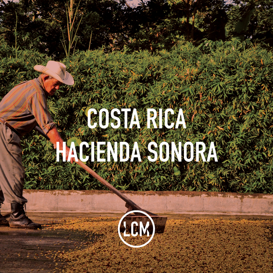 Costa Rica Hacienda Sonora Honey 69kg