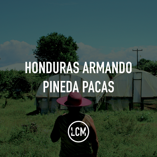 Honduras Armando Pineda Pacas W 35kg