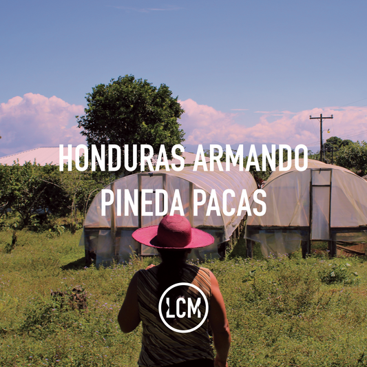 Honduras Armando Pineda Pacas W 35kg