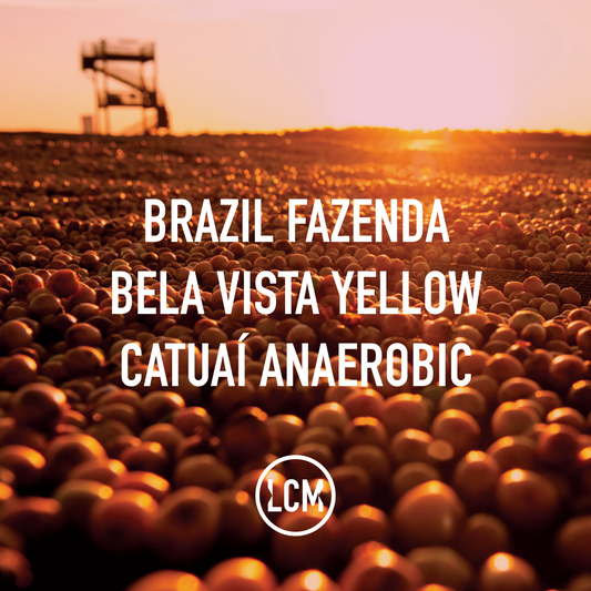 Brazil Fazenda Bela Vista Yellow Catuai Anaerobic 30kg