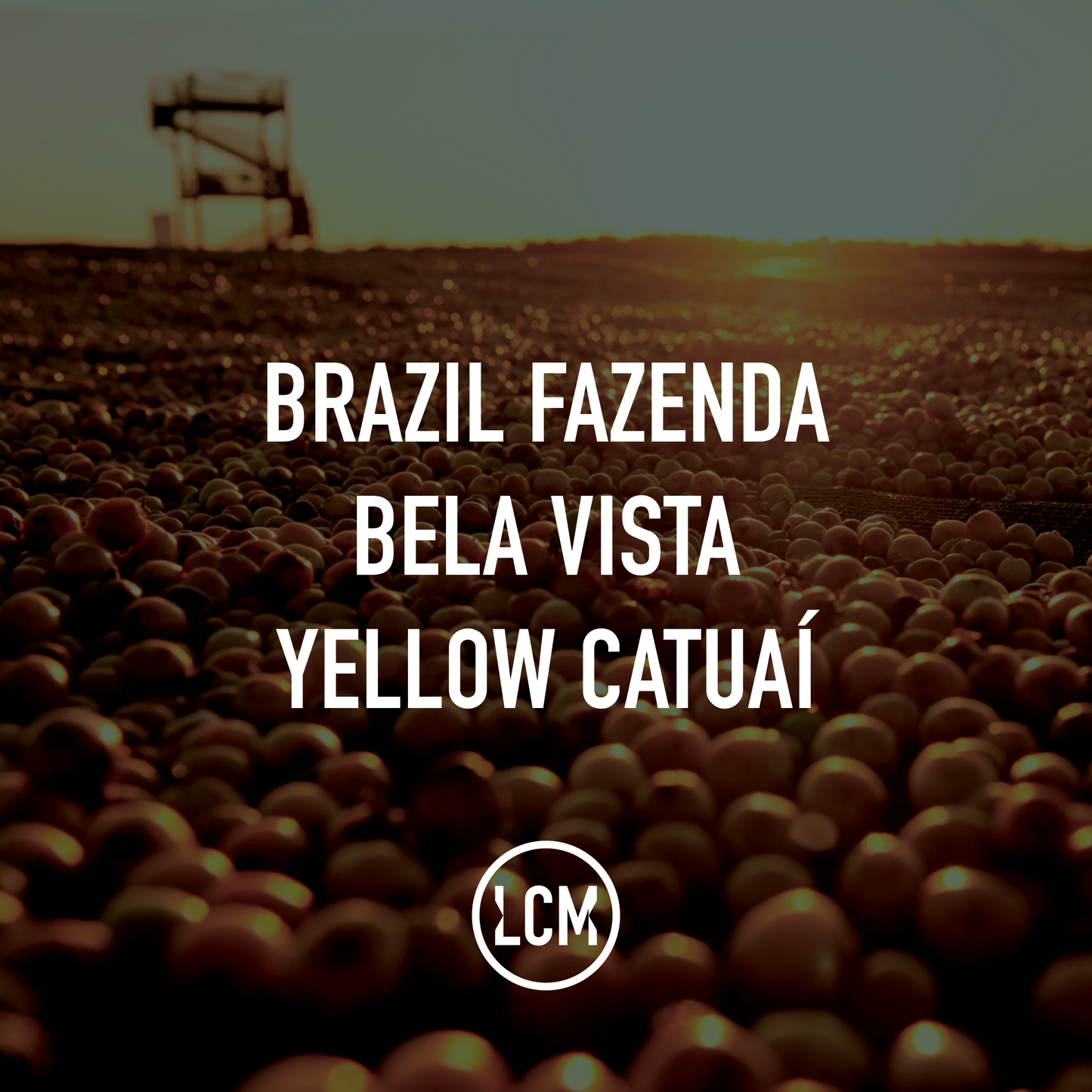 Brazil Fazenda Bela Vista Yellow Catuaí N 30kg